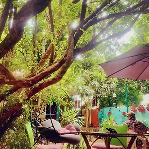  Hostel Vague Turkey
